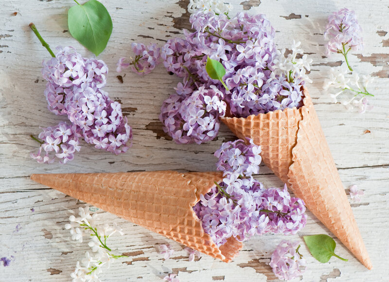 Lilac Flowers in Cones