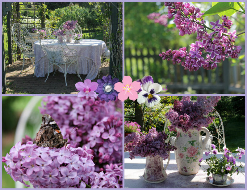 Lilac Flowers in Garden