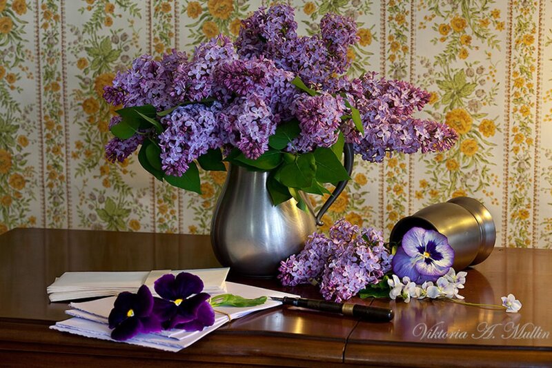Lilac Flowers in Pitcher — Purple, Calm