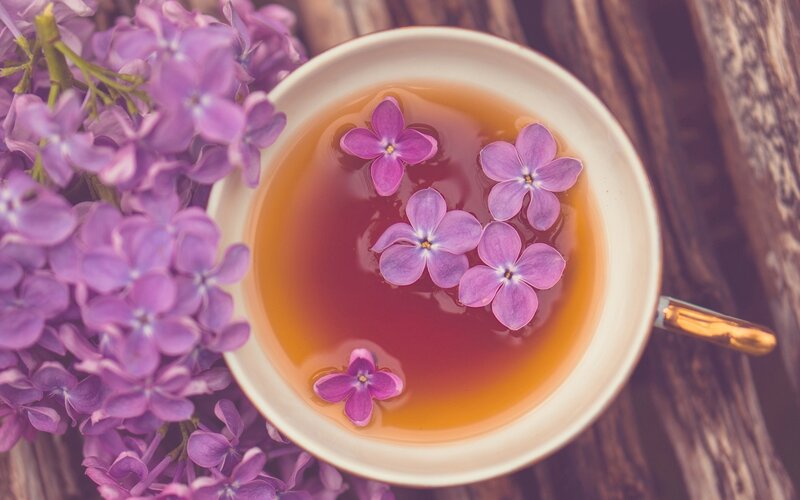 Lilac Flowers in Tea — Purple
