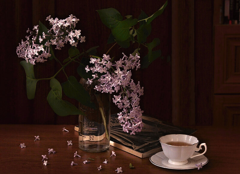 Lilac Flowers in Vase — Brown, Calm