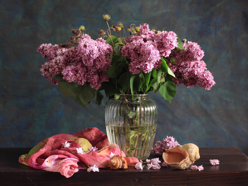 Lilac Flowers in Vase — Pink, Calm