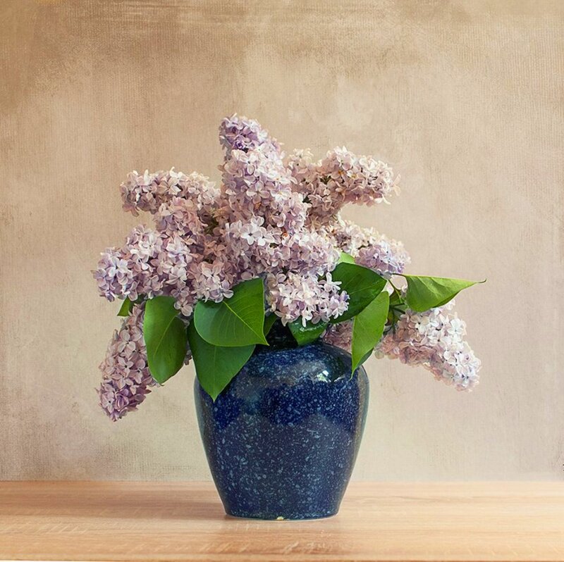 Lilac Flowers in Vase — Purple, Calm, Photograph
