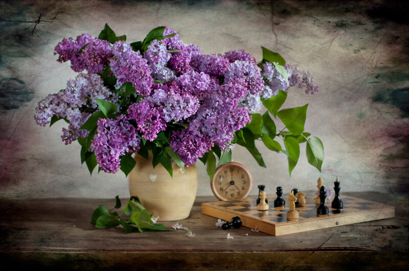 Lilac Flowers in Vase — Purple, Calm, Spring