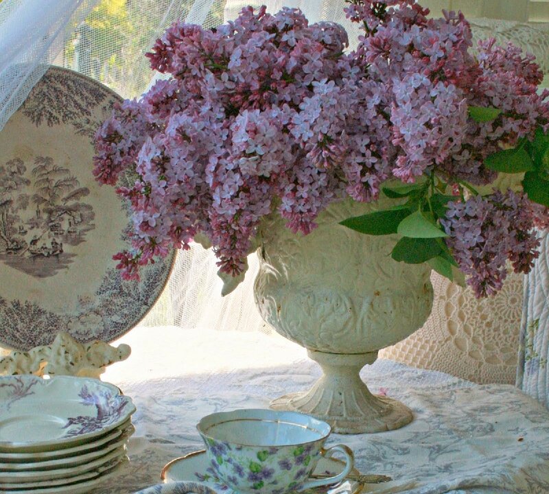 Lilac Flowers in Vase — Purple, Serene, Spring, Photograph, Teacup