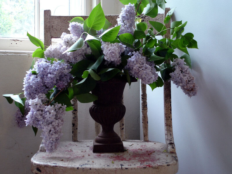 Lilac Flowers in Vase — Purple, Serene, Spring, Photograph