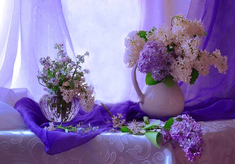 Lilac Flowers in Vases — Purple, Serene, Photograph