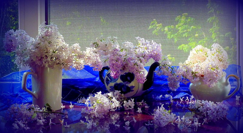 Lilac Flowers in Vases — Purple, Serene, Spring