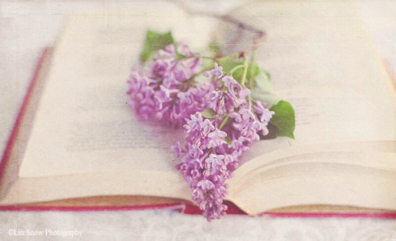 Lilac Flowers on Book