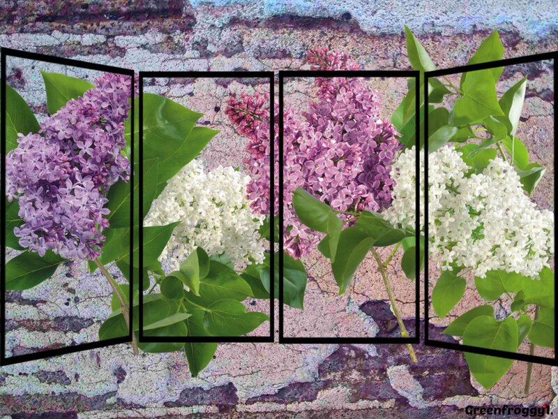 Lilac Flowers on Brick