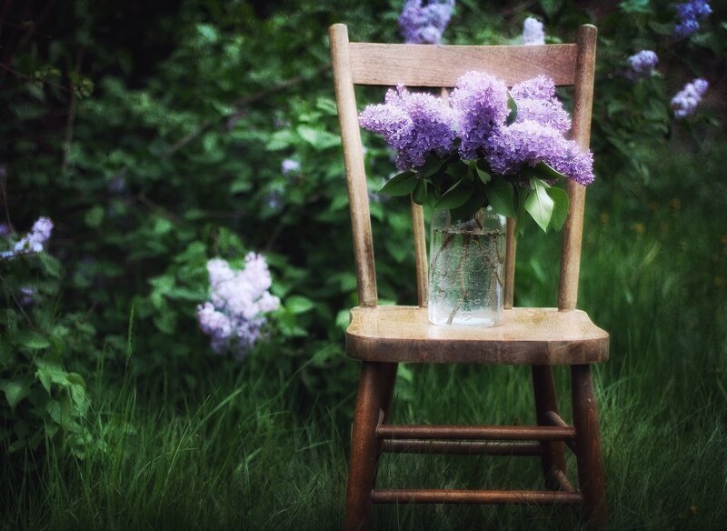 Lilac Flowers on Chair — Purple