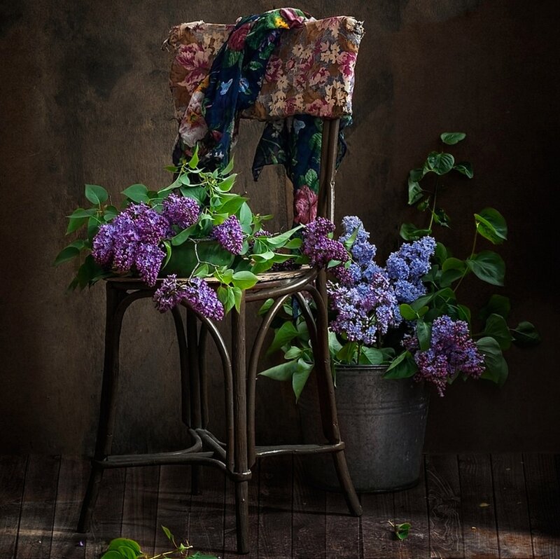 Lilac Flowers on Chair
