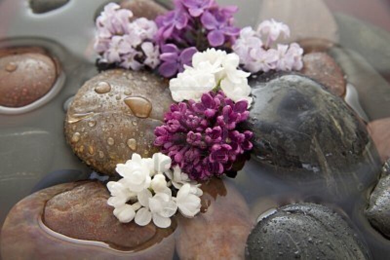 Lilac Flowers on Stones