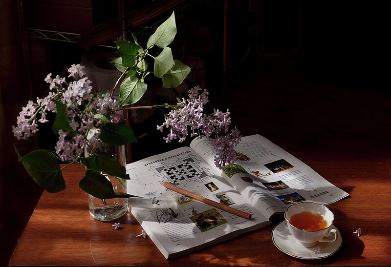 Lilac Flowers on Table — Brown