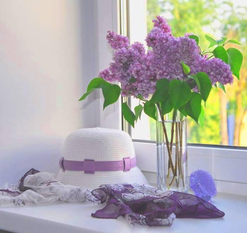 Lilac Flowers on Windowsill