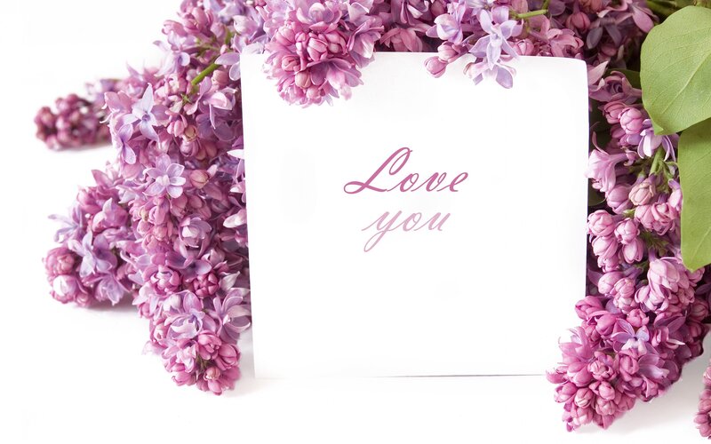 Lilac Flowers with Card — Purple