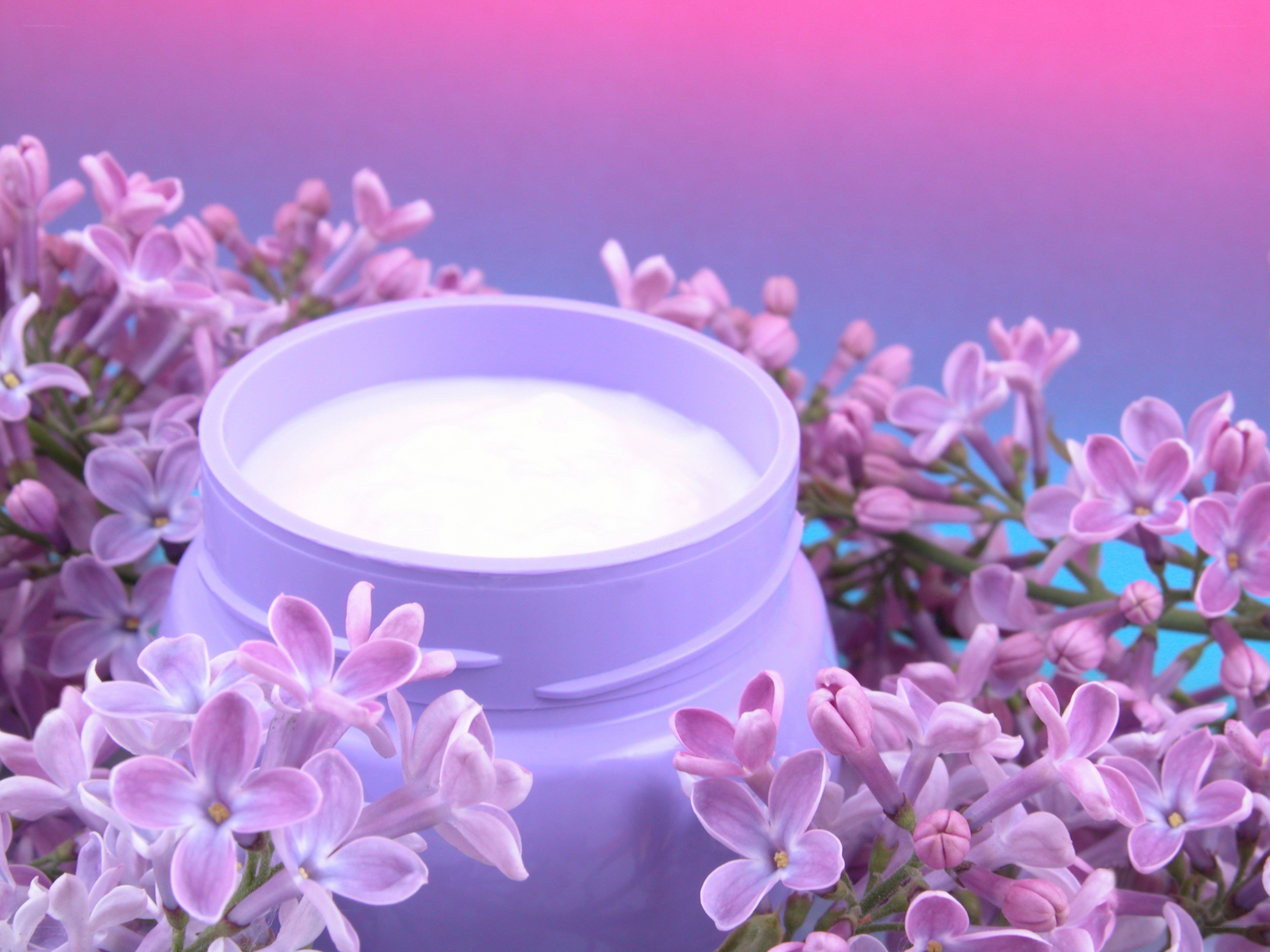 lilac flowers with cream jar