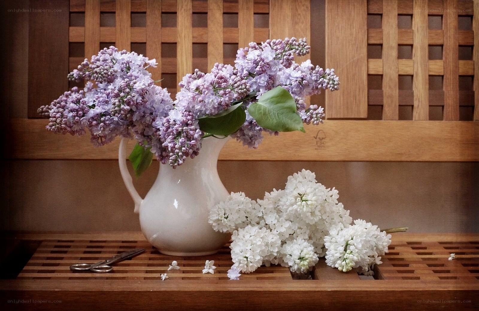 Lilacs in a white pitcher