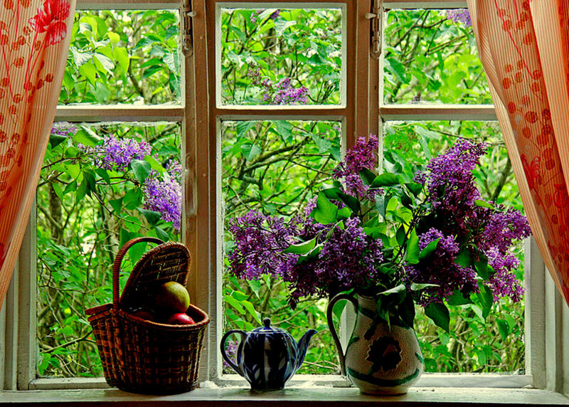 Lilacs on a windowsill