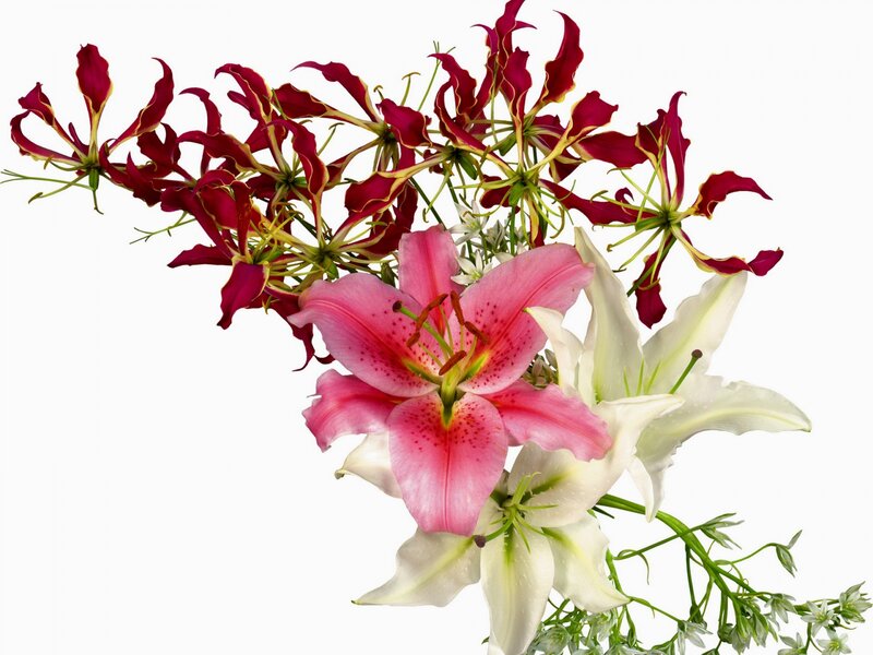 Lilies and Gladiolus Flowers