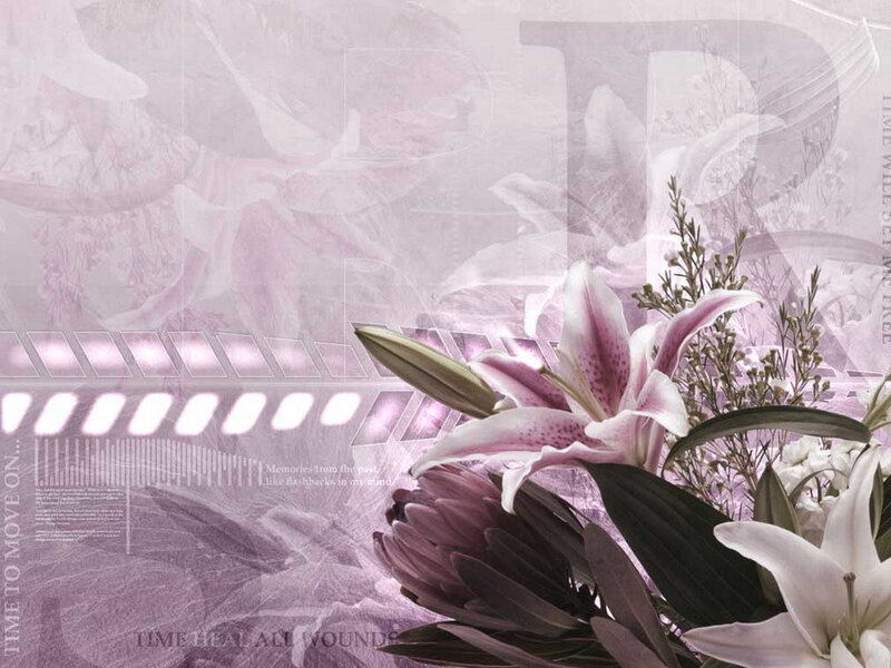 Lilies and Protea Flowers
