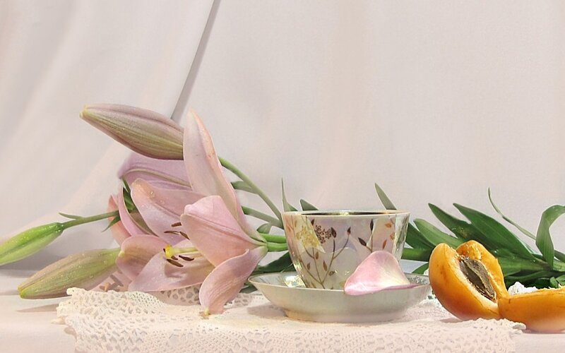 Lilies and tea cup still life