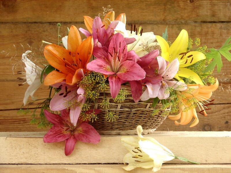 Lilies in a Basket