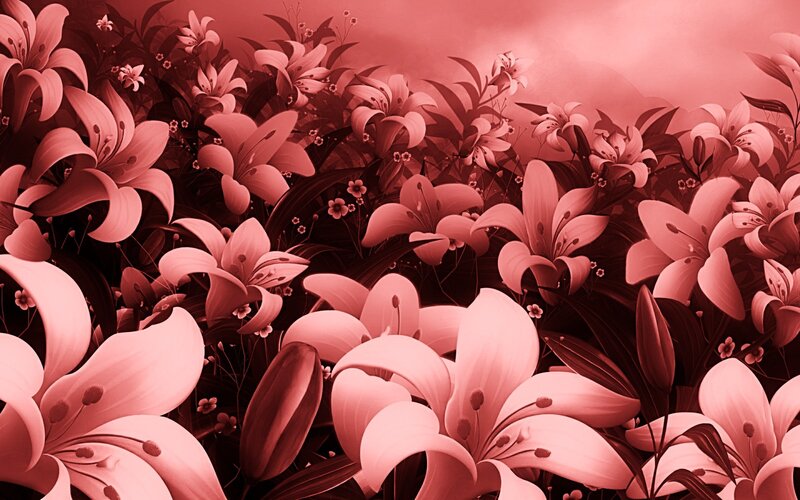 Lilies in a Field