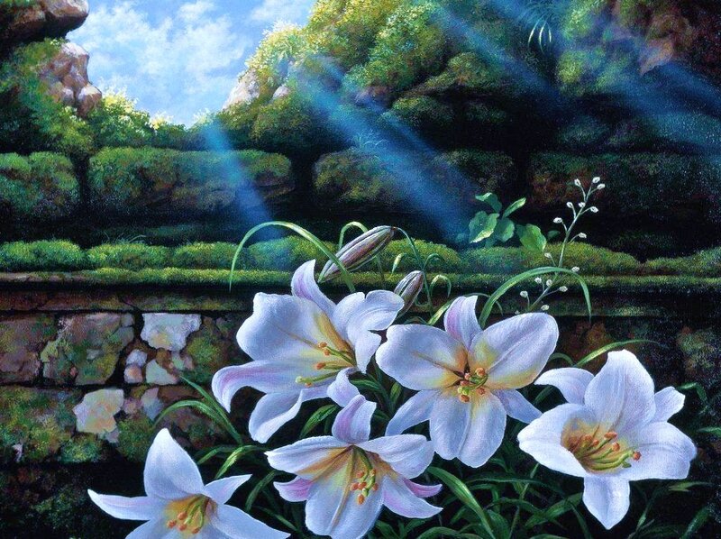 Lilies in a sunlit garden