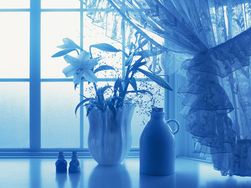 Lilies in a Vase — Blue