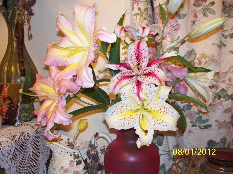 Lilies in a Vase — Pink, Calm, Photograph