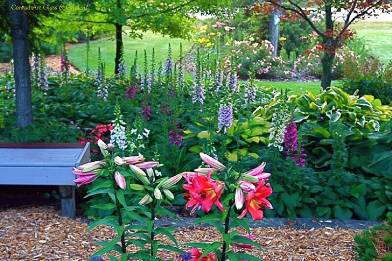 Lilies in Garden — Green