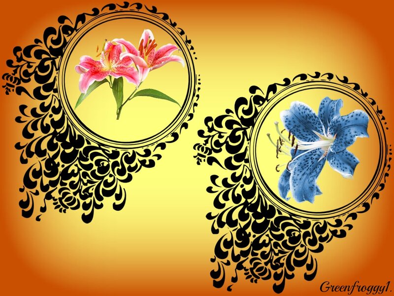 Lilies in Ornate Frames