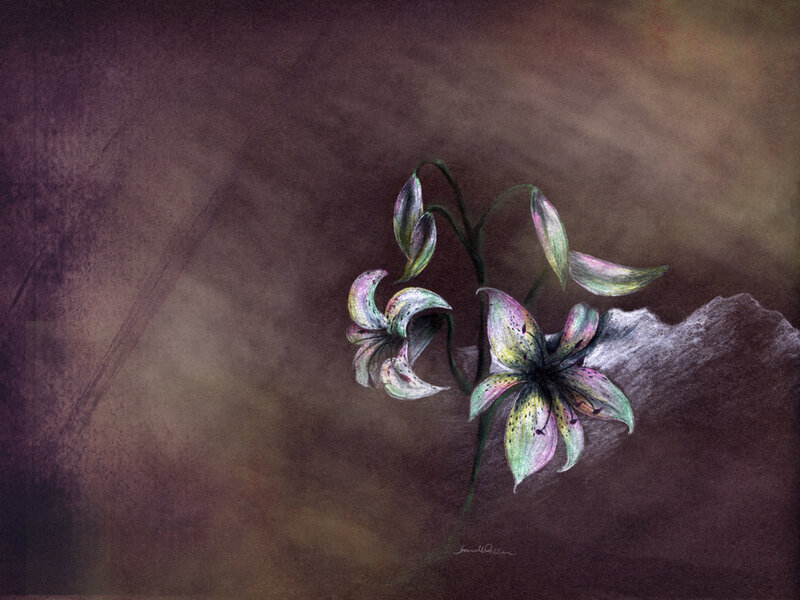 Lilies on a rock