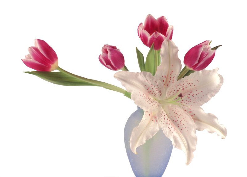 Lily and tulips in a vase