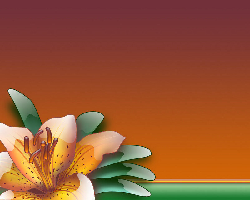 lily flower on gradient background