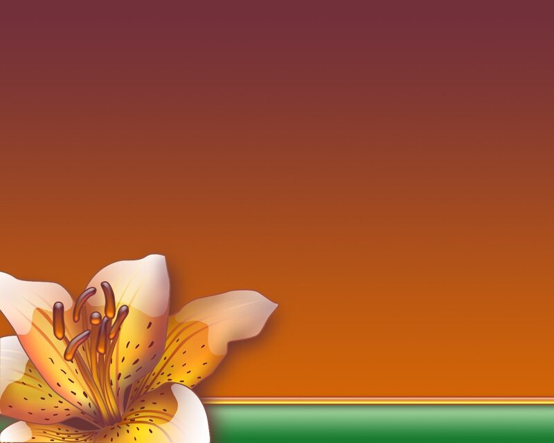 lily flower on gradient background