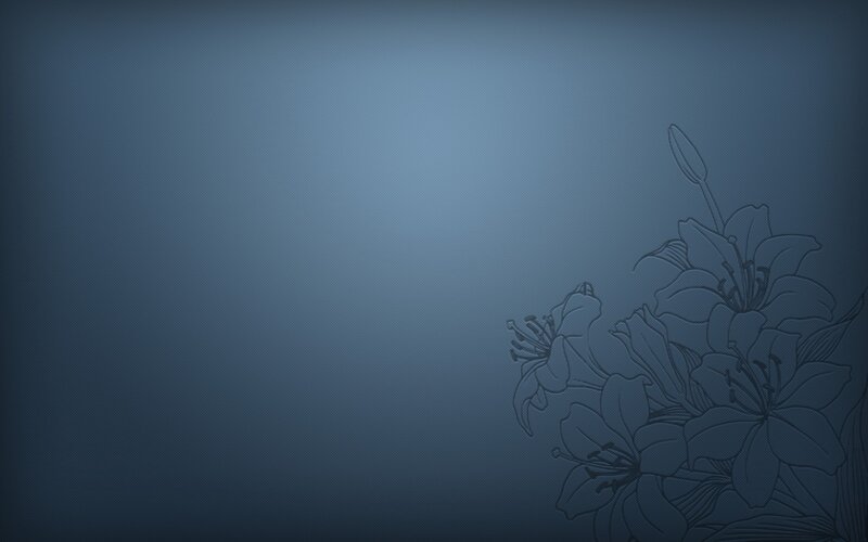 Lily Flowers Outline