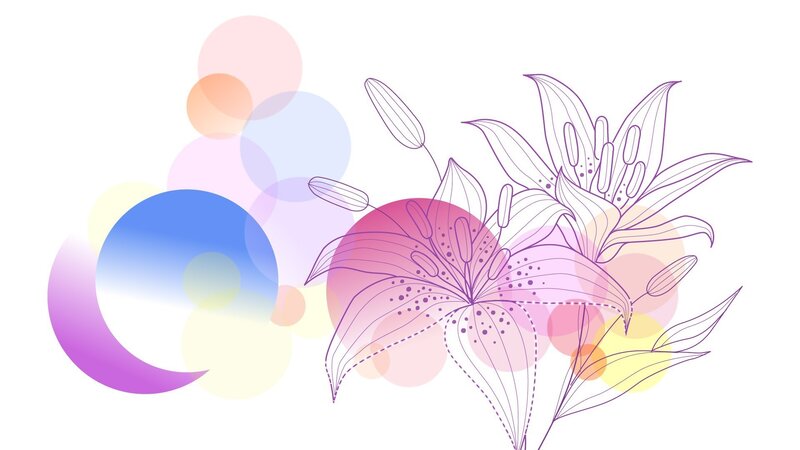 Lily flowers with colorful circles