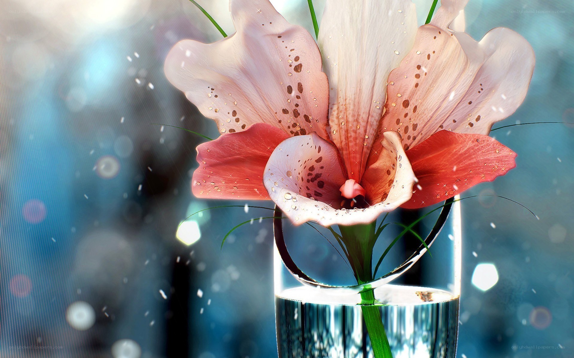 Lily in a glass vase