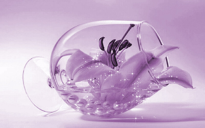 Lily in Glass Bowl — Purple