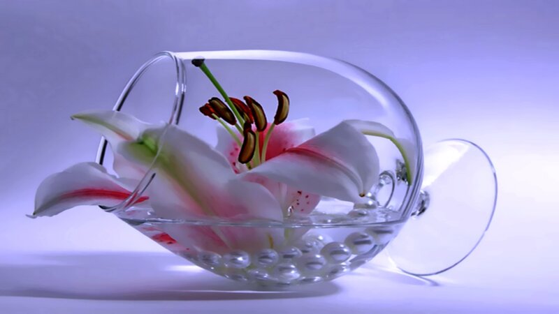 lily in glass bowl