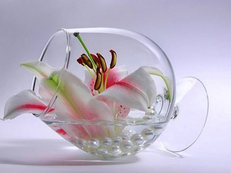 Lily in Glass Bowl — White, Serene