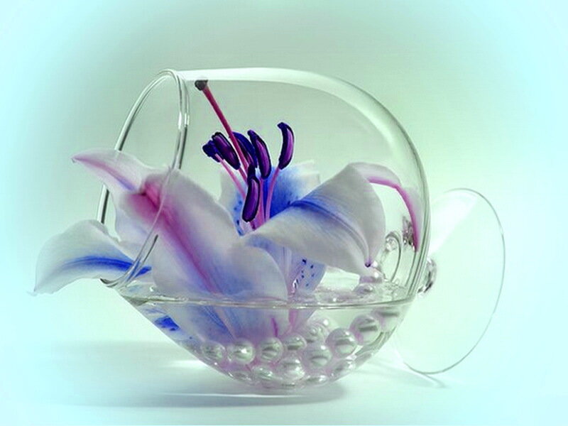 Lily in Glass Bowl — White