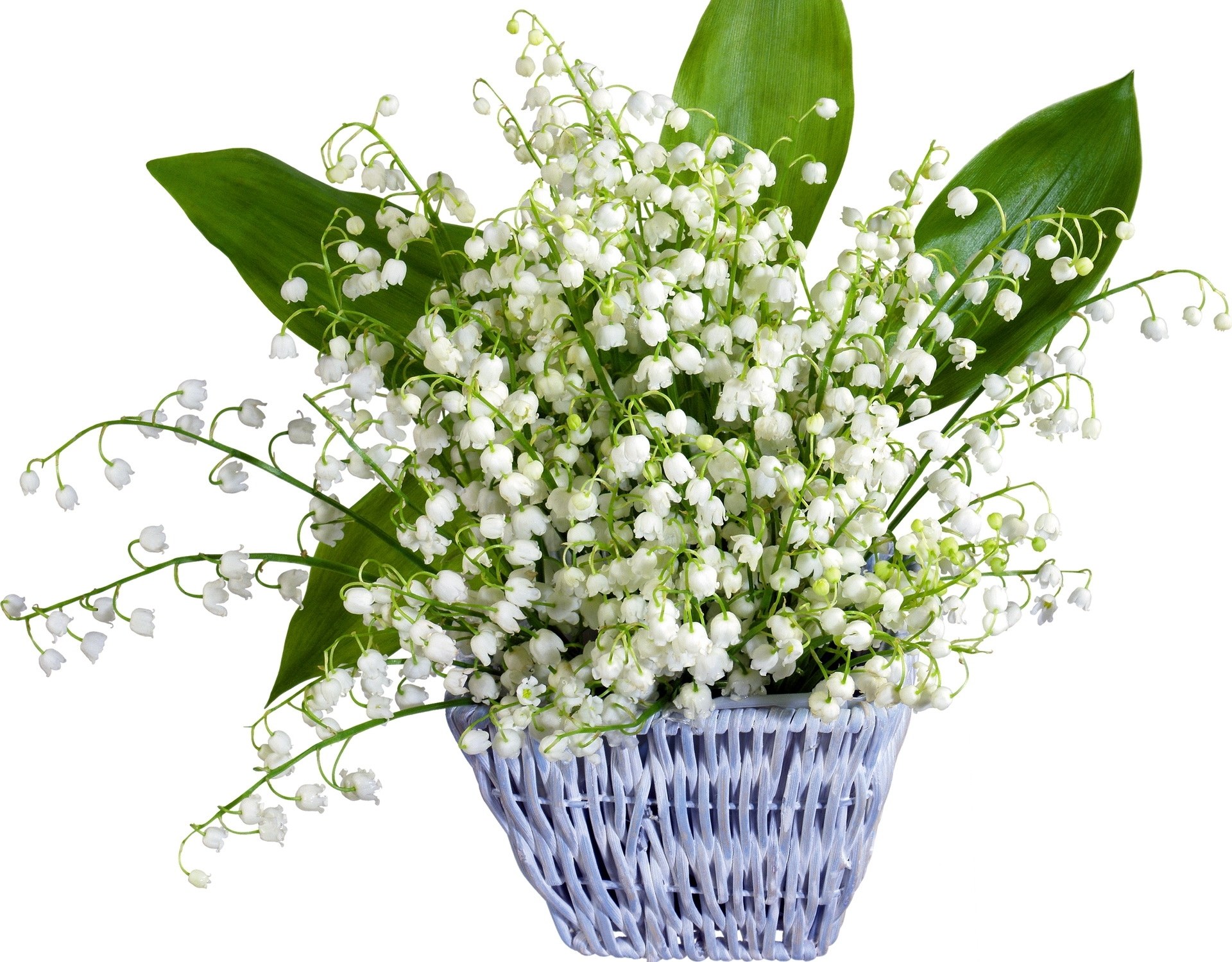 lily of the valley bouquet