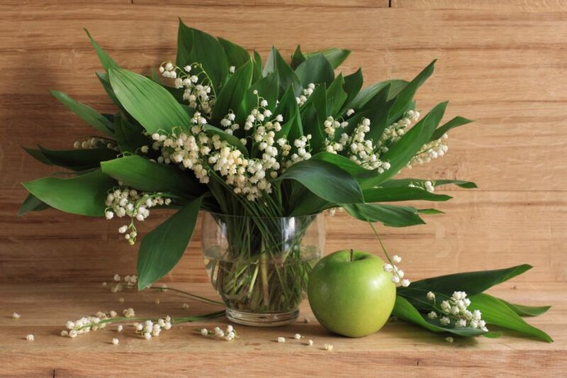 Lily of the Valley Bouquet — Green, Serene