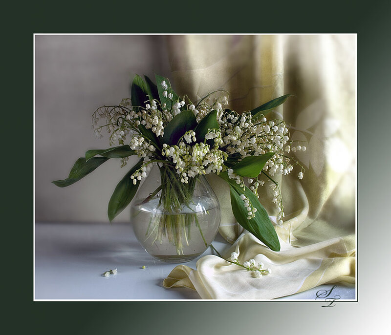 Lily of the Valley Bouquet — White, Serene, Morning, Photograph