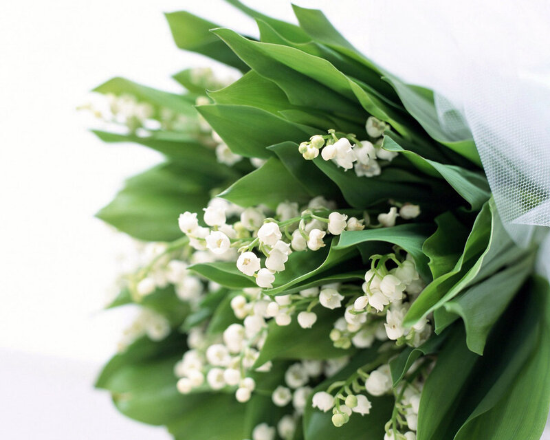 Lily of the Valley Bouquet — White, Serene, Spring, Photograph