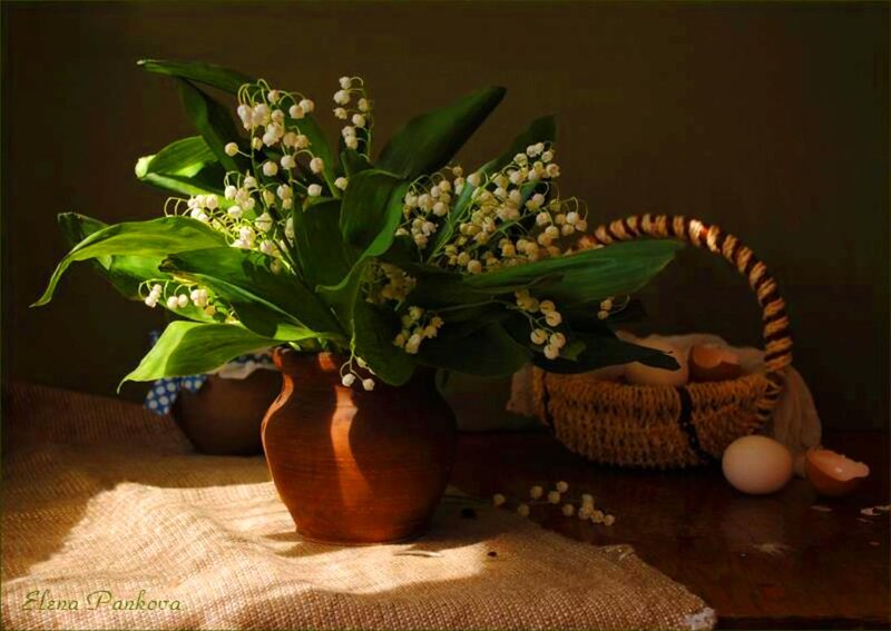 Lily of the Valley Flowers — Brown, Serene, Morning