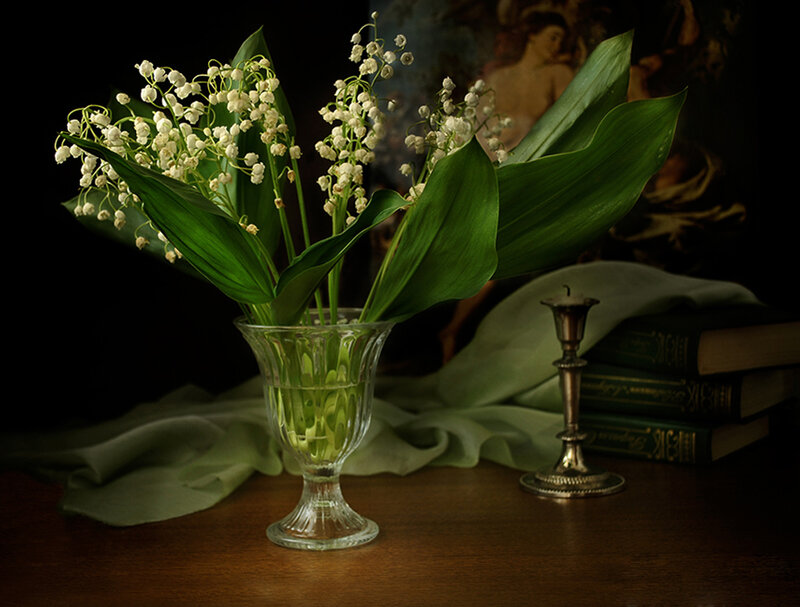 Lily of the Valley Flowers — Green, Dramatic, Photograph
